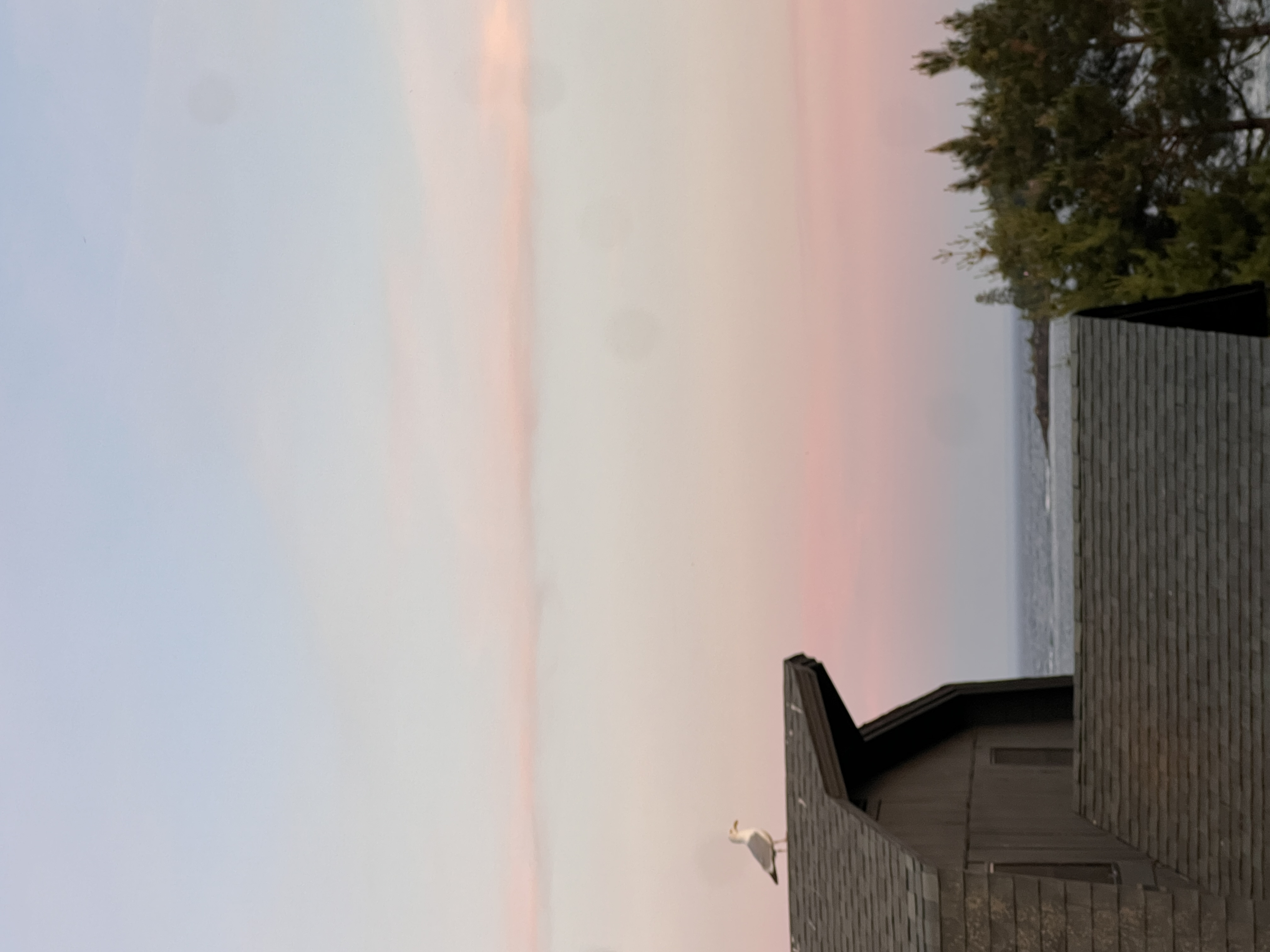 A seagull perched above the Lake Superior shoreline.